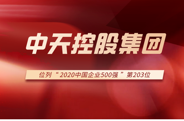 金世豪集团列2020中国企业500强第203位！